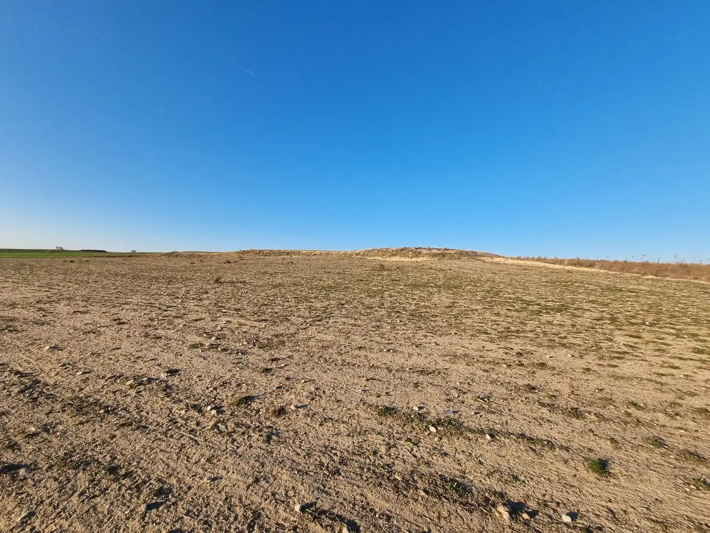 Rural land for sale in El Álamo, imagen 16