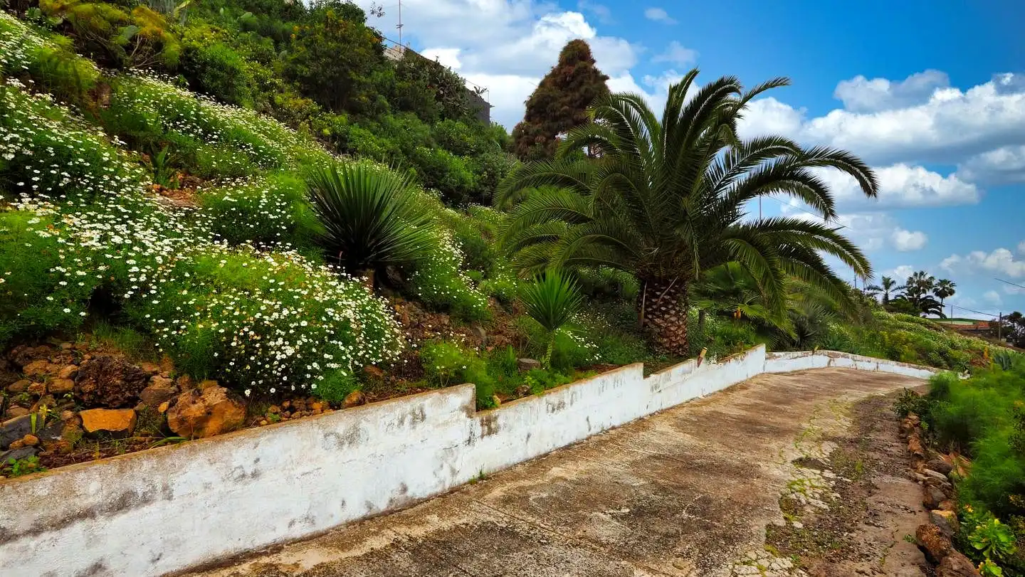 Casa con jardín en venta en La Guancha, imagen 8