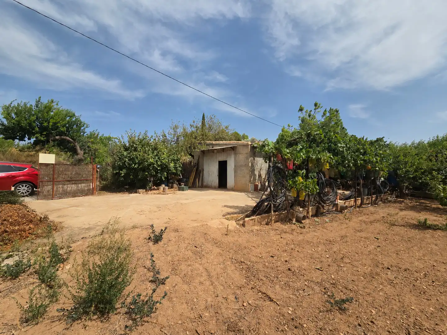 Finca rústica en venta en Bullas