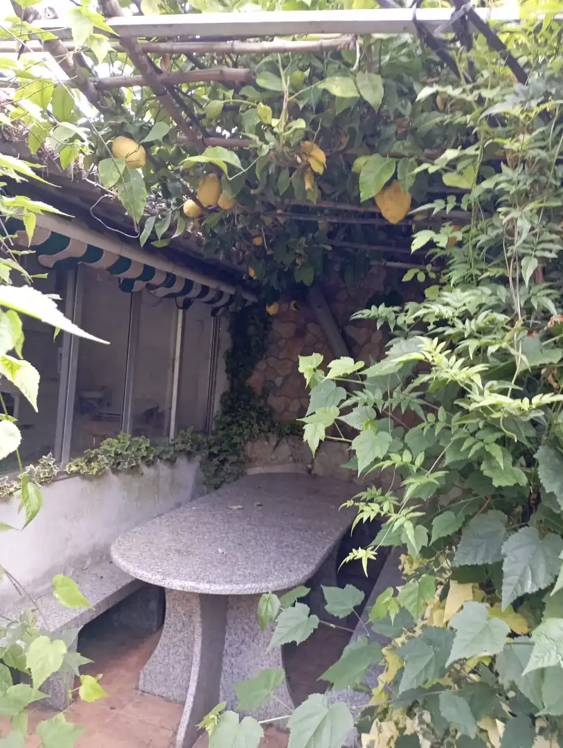 Casa amb terrassa en venda a Praza Maior, imagen 16