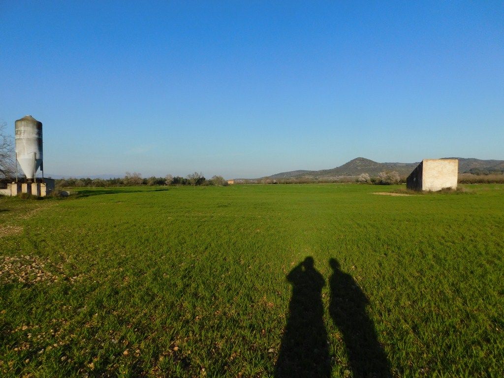 Country house for sale in Godall