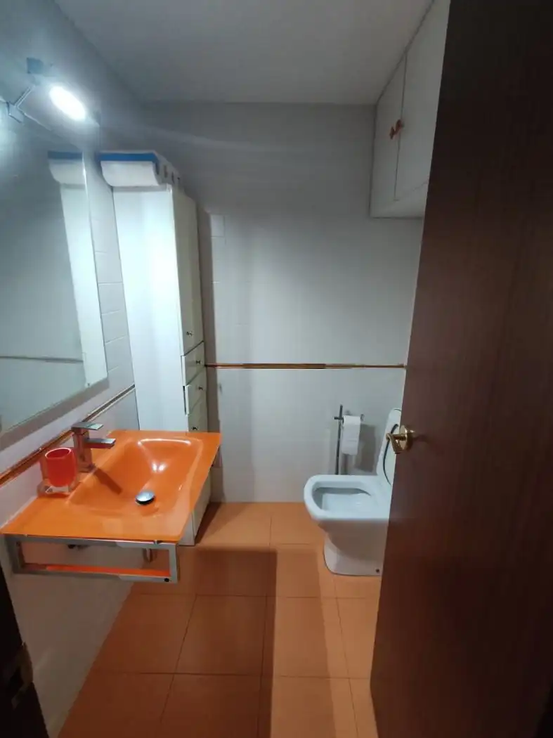 Bathroom of Flat for rent in Castellón de la Plana / Castelló de la Plana  with Terrace and Furnished