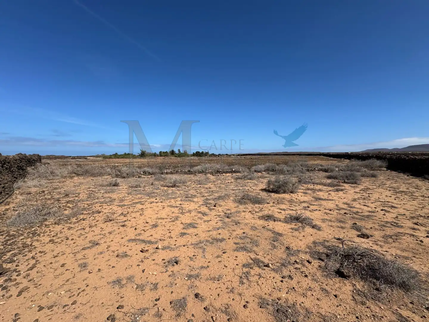 Land for sale in La Oliva