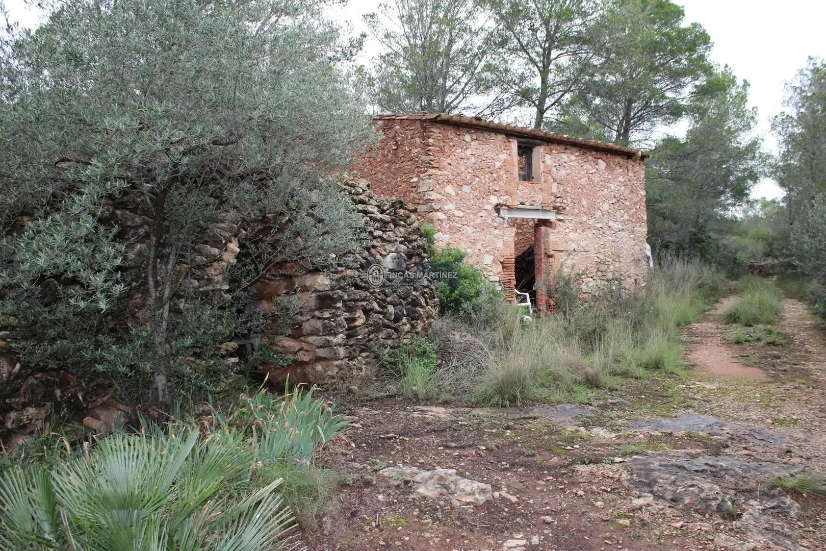 Terrenys i solars en venda a partida torres novas  lindante con el barranco porquerola y a poniente con el termino de pradit  es la parcela  del poligono, imagen 7