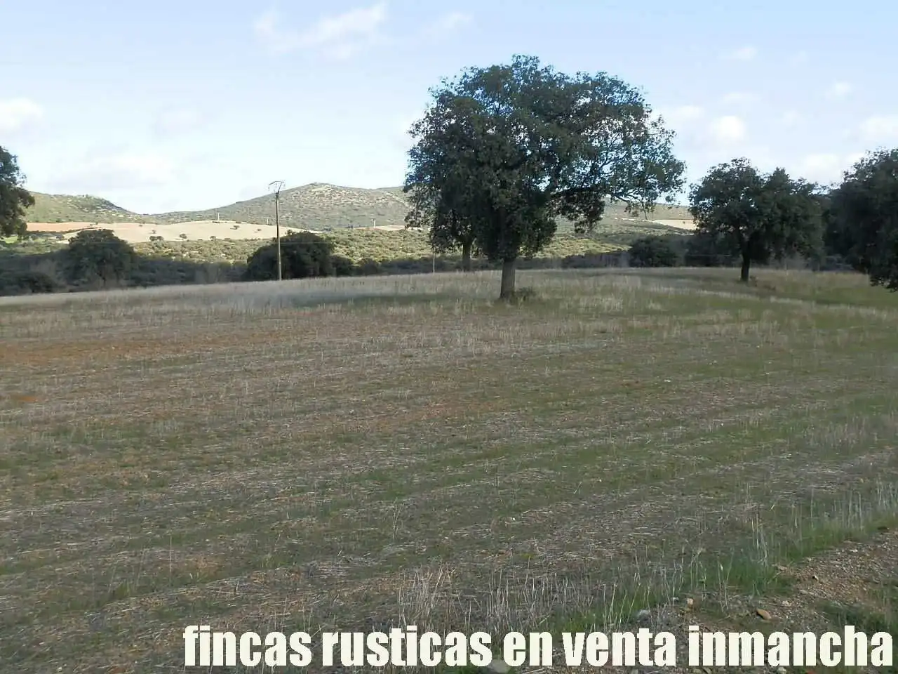 Terreny rústic en venda a Viso del Marqués, imagen 8