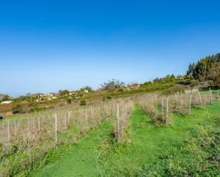 Land for sale in  Polígono 12 Parcela 160, Tacoronte, Campo de Golf - Agua García - Juan Fernández