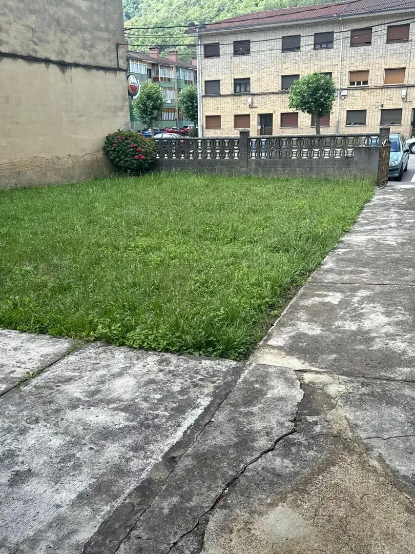 Houses for sale in Laviana  with Private garden and Terrace