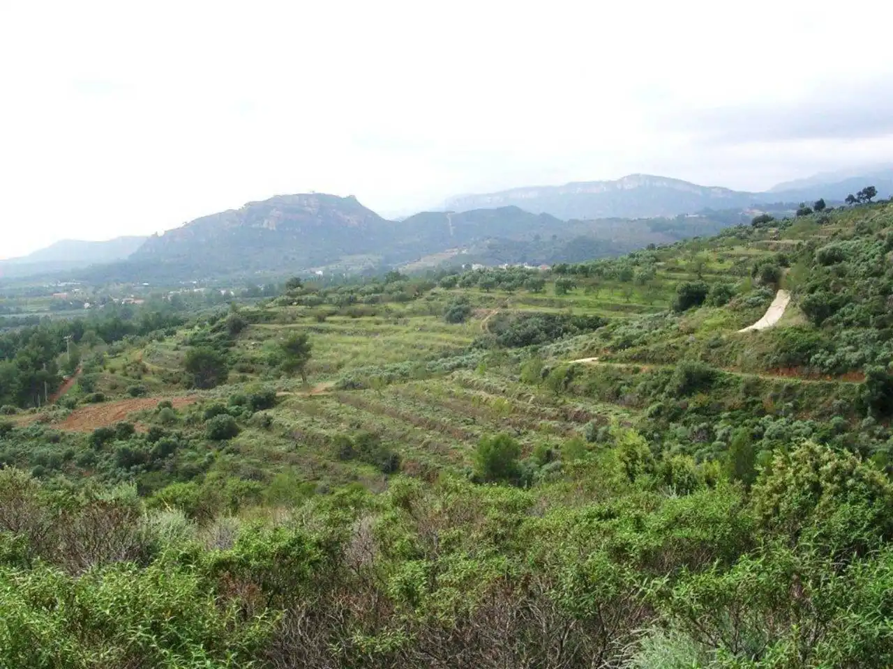 Terreno rustico in vendita a Calle MESTRAL