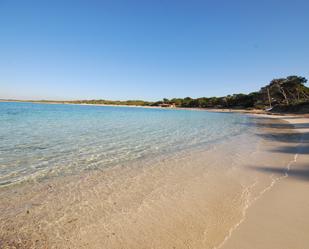 Vista exterior de Casa o xalet de lloguer en Ses Salines amb Aire condicionat i Moblat