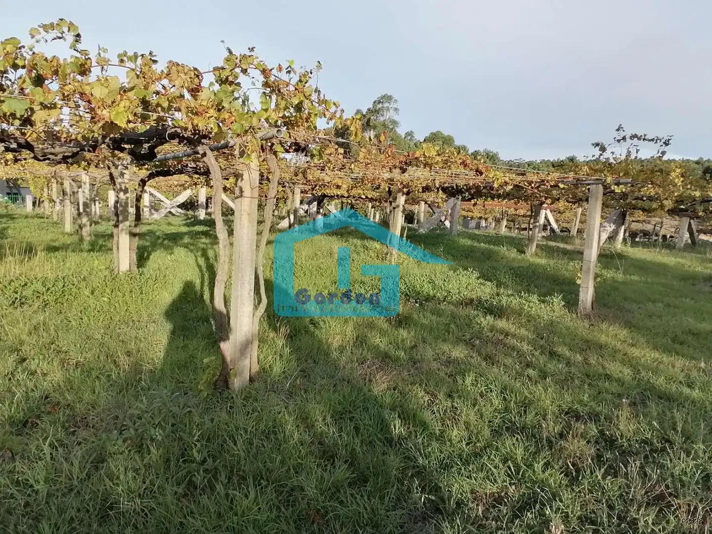 Finca rústica en venta en Sanxenxo, Pontevedra