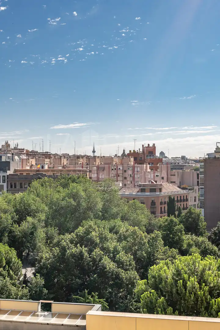 Flat with lift for sale in Calle del Concejal Benito Martín Lozano, imagen 14