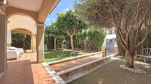 Photo 4 of Detached homes for rent in Calle Río Esla, Pilar de la Horadada, Spain, -1, Mil Palmeras, Pilar de la Horadada