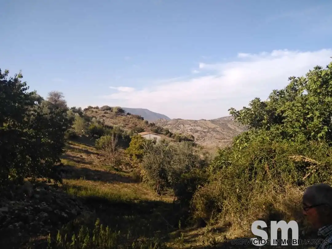 Terreno en venta en Zahara
