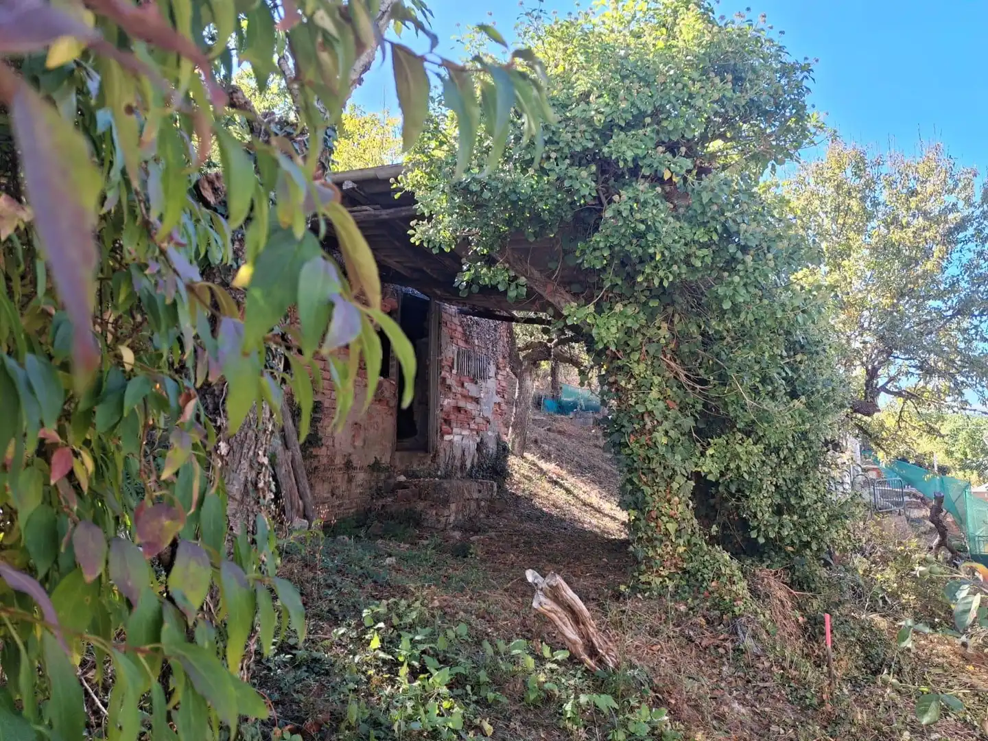 Garden of Houses for sale in Priaranza del Bierzo