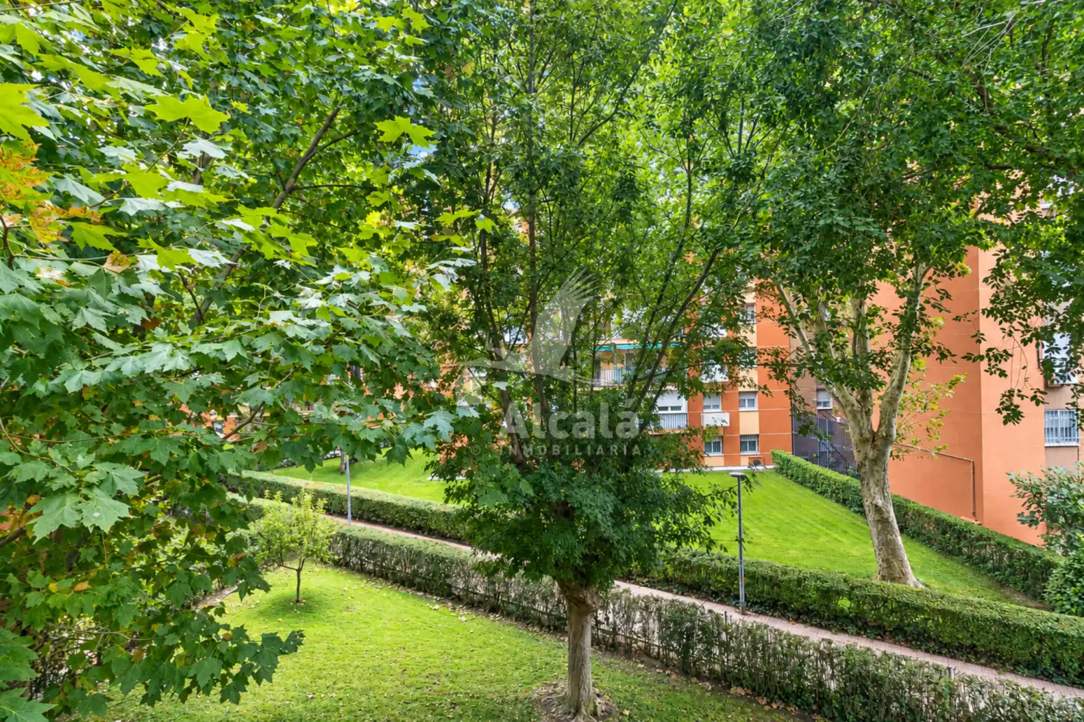 Exterior view of Flat for sale in Venecia - Nueva Alcalá