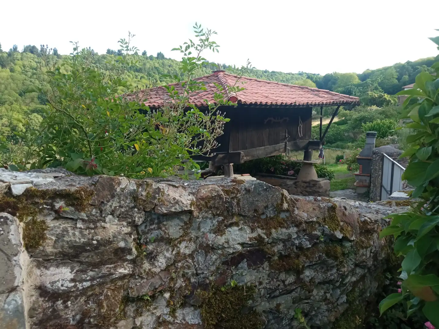 Finca rústica en venta en Tineo con Jardín privado, Parquet y Terraza