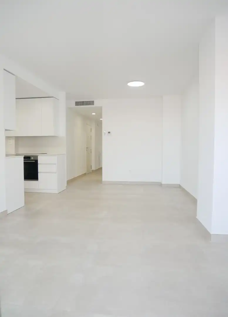 Flat with terrace for sale in Avenida de Juan Carlos I, imagen 14