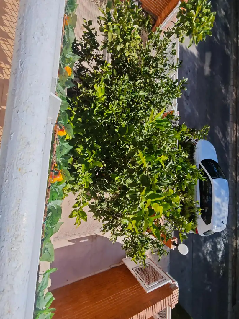 Haus mit Terrasse zum Verkauf in Altorreal - El Chorrico, imagen 34