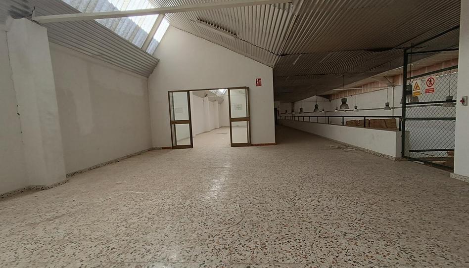 Photo 1 of Industrial buildings to rent in Calle Gerald Brenan, Churriana - El Pizarrillo - La Noria-Guadalsol, Málaga