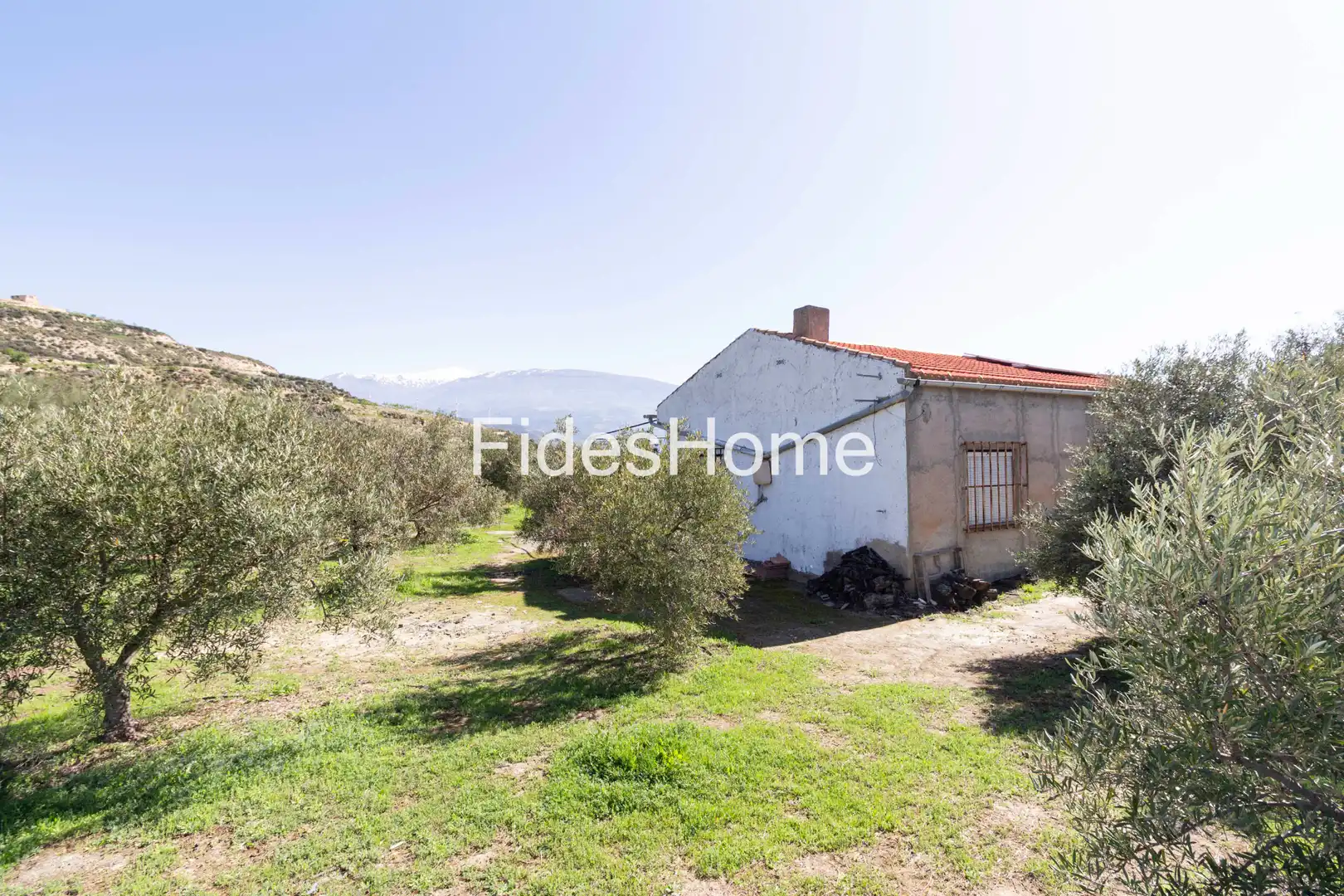 Maison rustique à vendre à Plaza Constitucion 10, imagen 14
