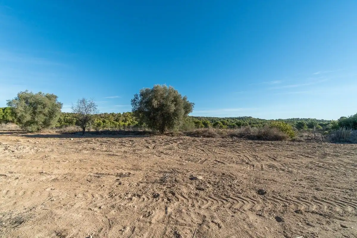 Terreno residenziale in vendita a El Pinar de Campoverde, imagen 6