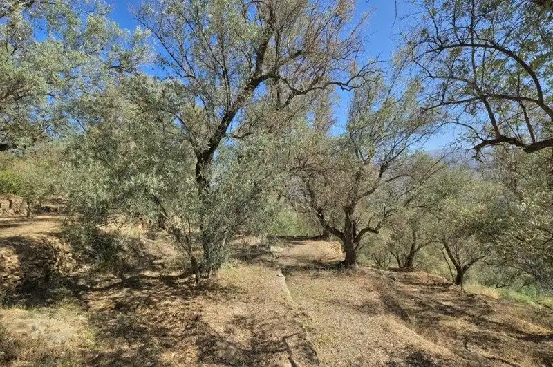 Terreno rustico in vendita a El Pinar, imagen 43