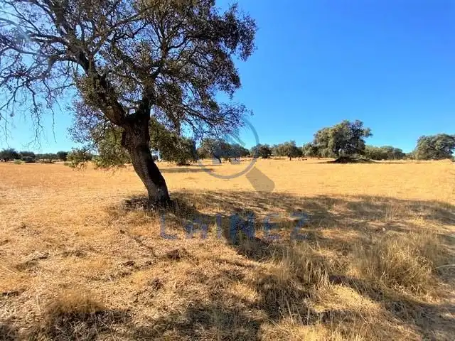 Residential land for sale in Fuente Obejuna, imagen 6
