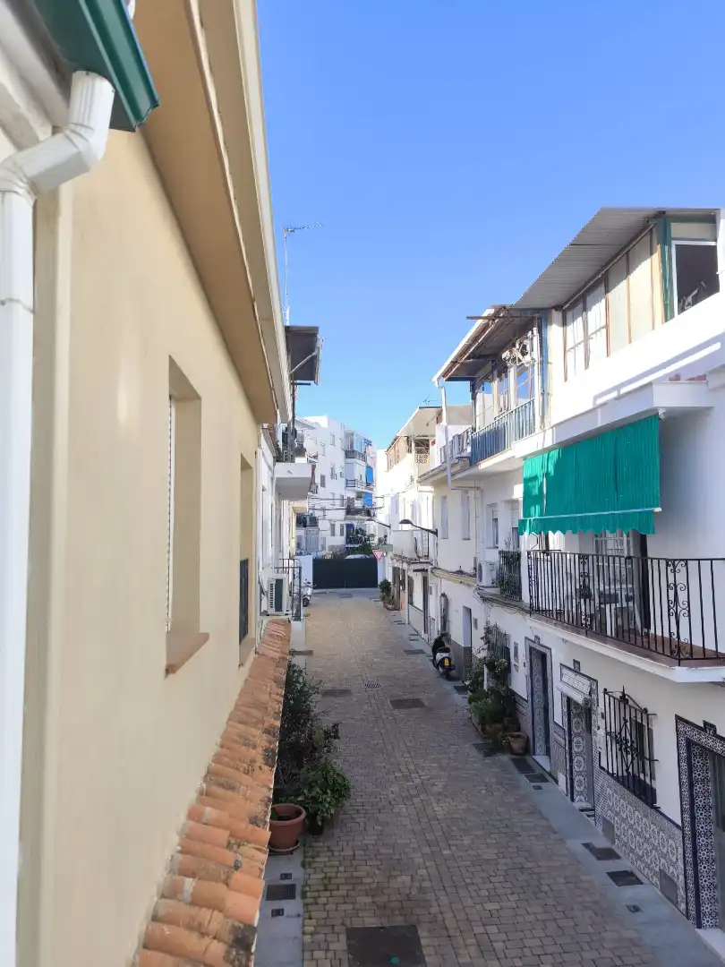 Exterior view of Detached homes for sale in Marbella  with Parquet flooring, Terrace and Oven
