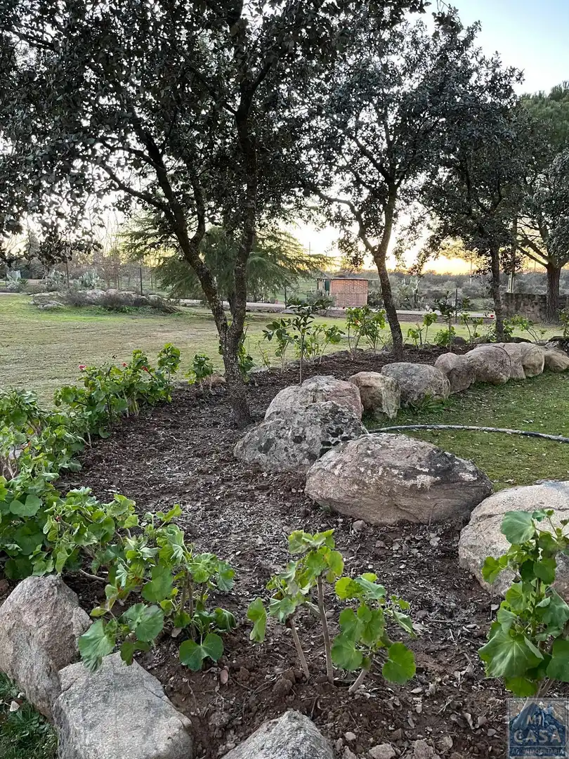 Finca rústica en venta en Trujillanos