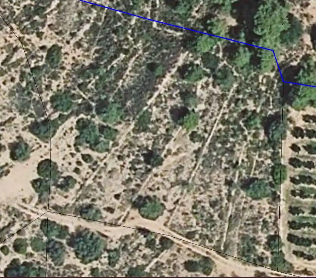 Terreny rústic en venda a Ulldecona, imagen 6