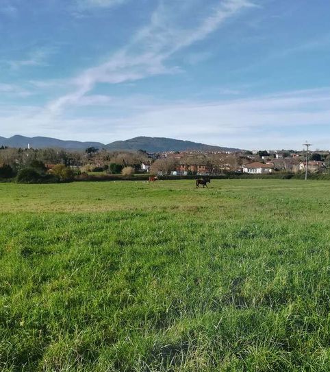 Foto 2 de Terreno en venta en Berango, Bizkaia