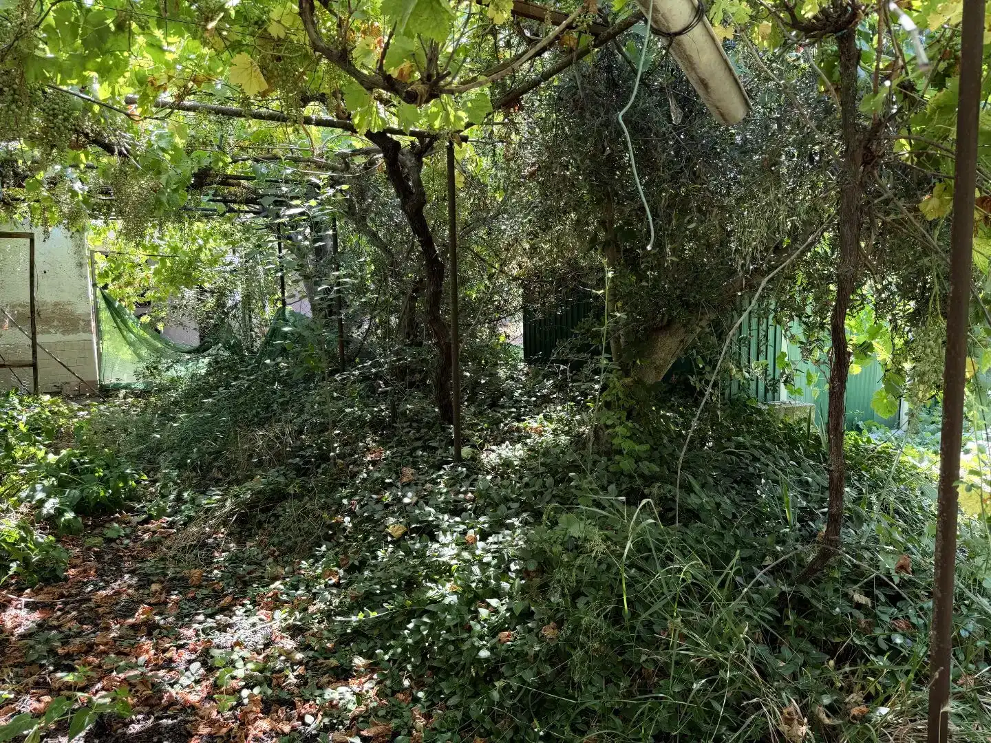 Finca rústica en venda en Calera y Chozas