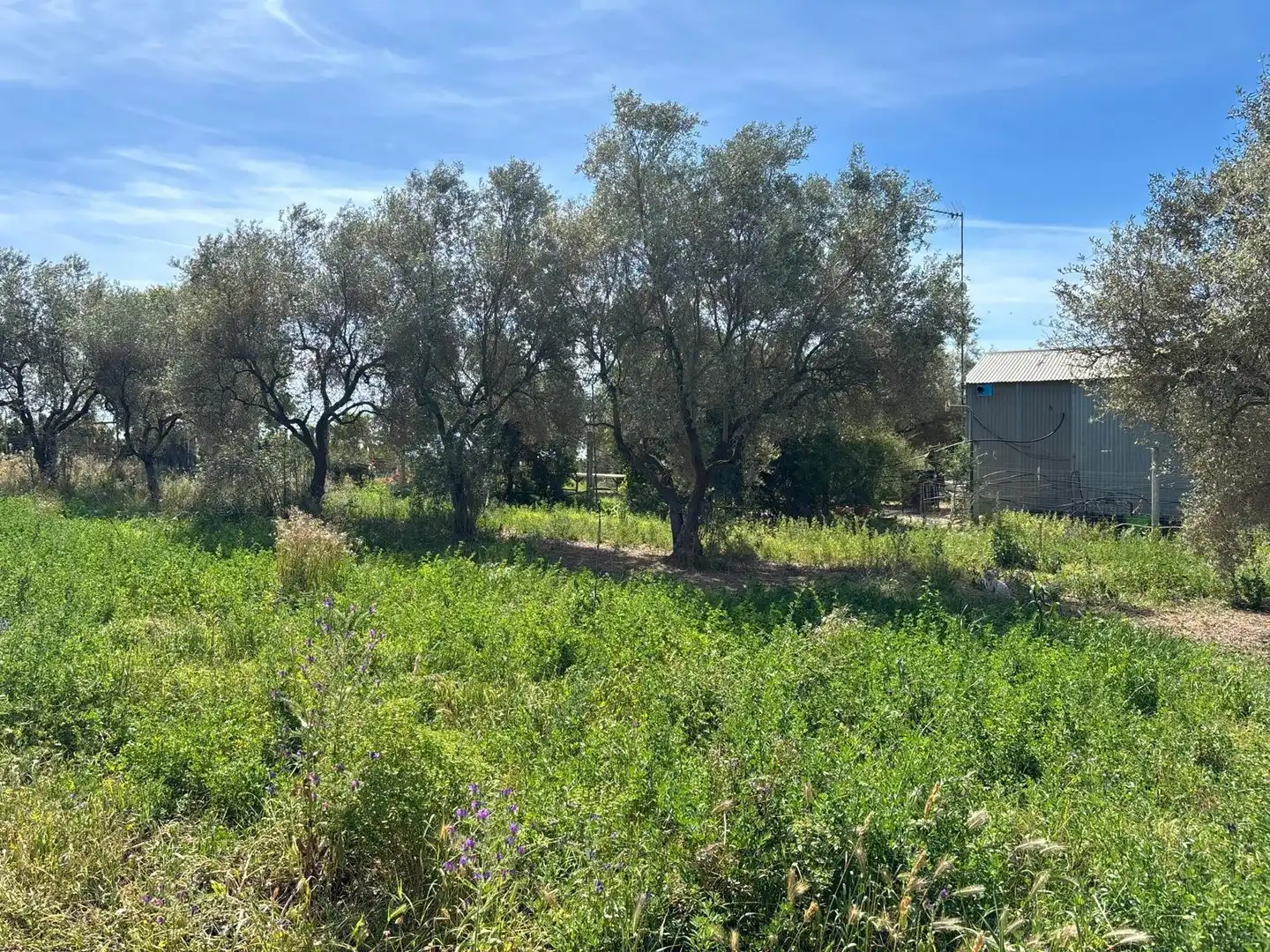 Terreni e lotti in vendita a Polígono Polígono 14 Paraje 87 LOS MONTES, imagen 26