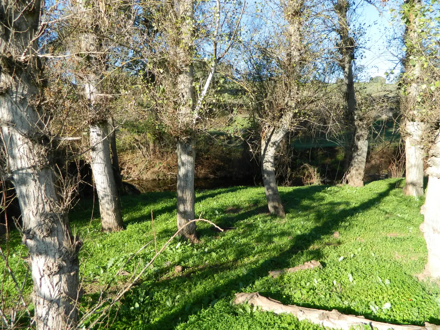 Rural land for sale in La Hispanidad - Verdeluz, imagen 6