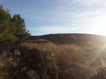 Terreno rustico in vendita a Aspe Centro