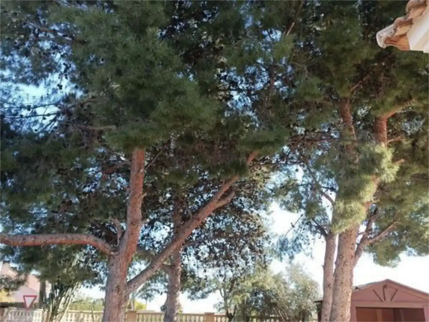Jardí de Pis en venda en Mutxamel amb Aire condicionat, Jardí privat i Traster