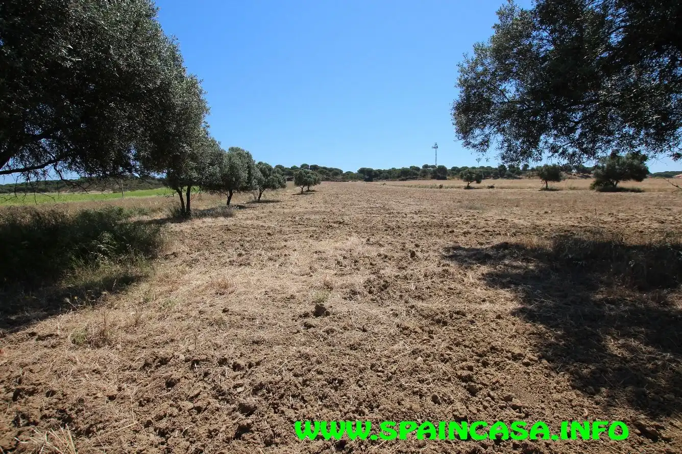 Terrenos y solares en venta en Núcleo urbano, imagen 5