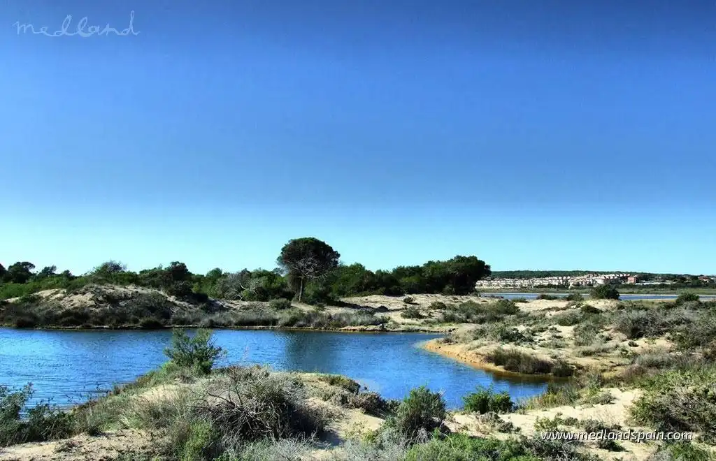 Detached house with pool for sale in San Fulgencio, imagen 12