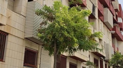 Foto 3 de Planta baja en venta en Calle Salt del Moro, San Francisco, Manises