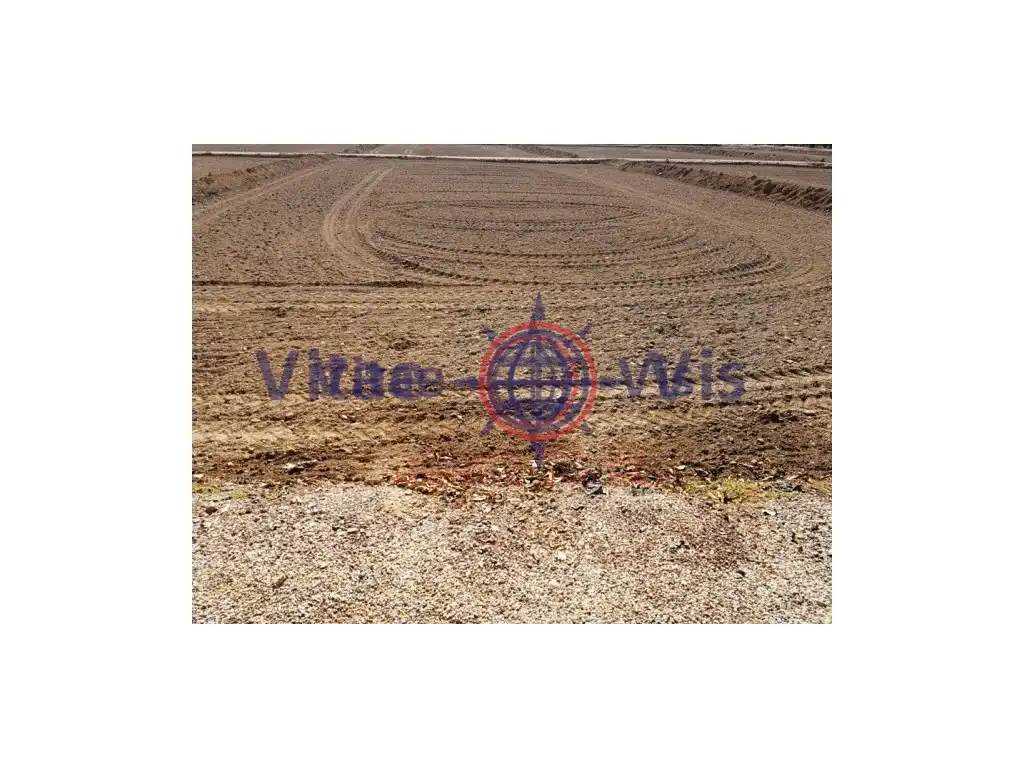 Residential land for sale in Diseminados Cazalla, imagen 4