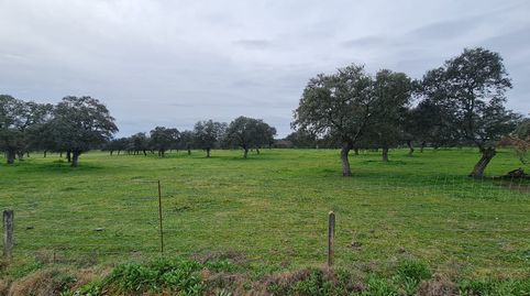 Venta de terreno en Pozoblanco