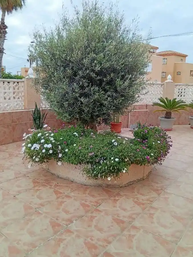 Wohnung mit Pool zum Verkauf in Playa de los Locos, imagen 16