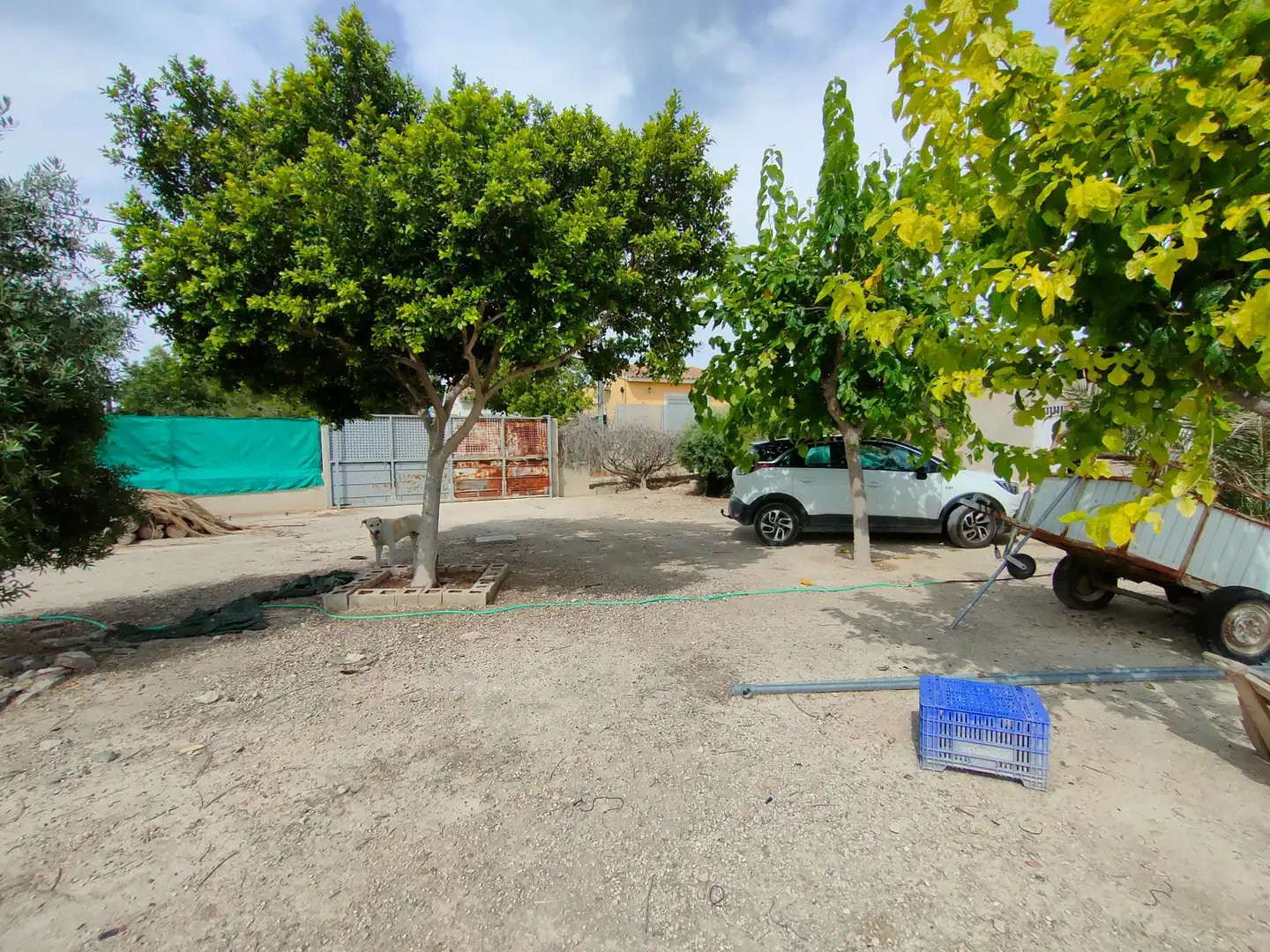 Finca rústica en venda en Las Torres de Cotillas amb Aire condicionat, Jardí privat i Traster