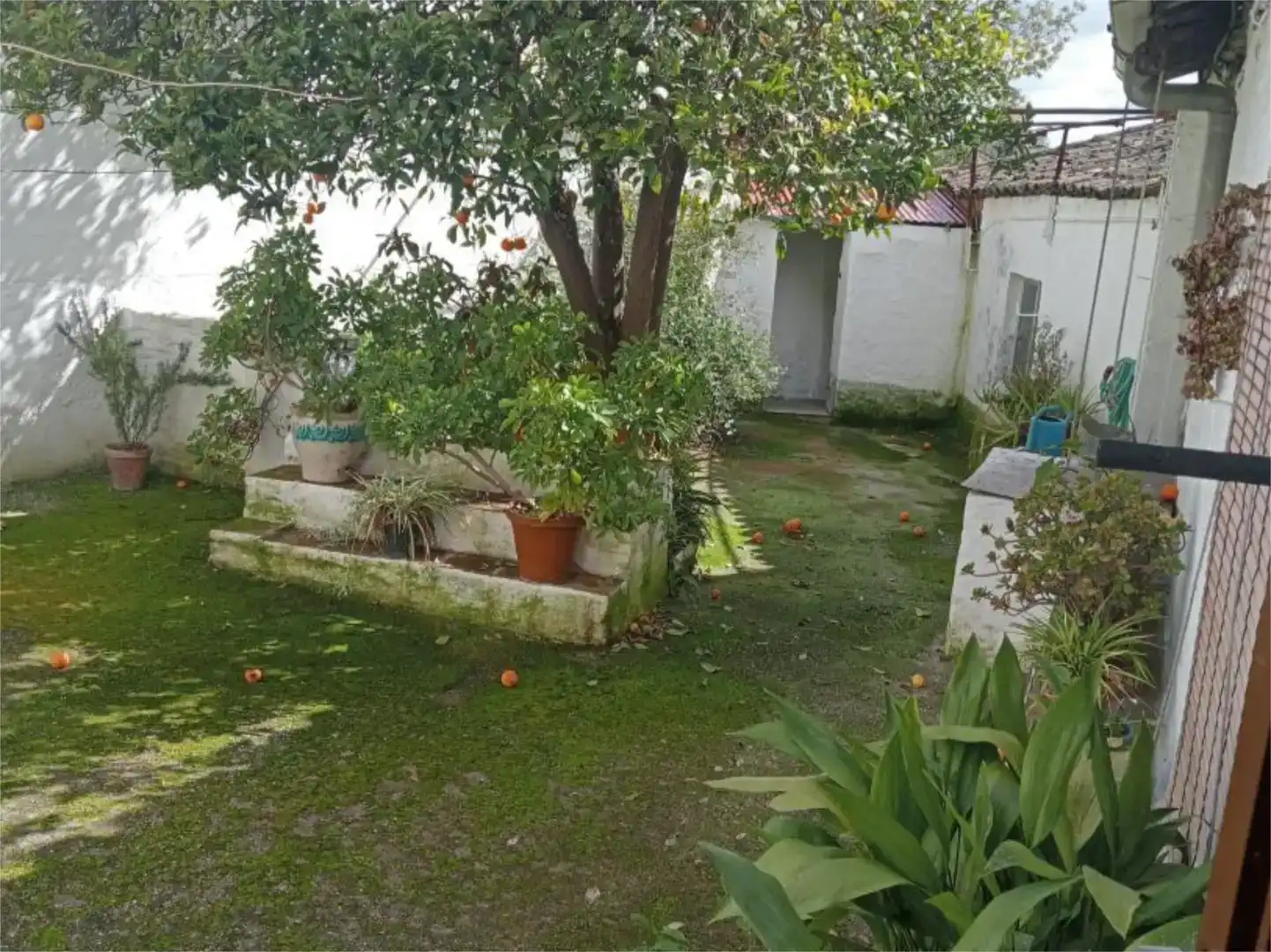 Jardí de Casa adosada en venda en Cala amb Jardí privat i Traster