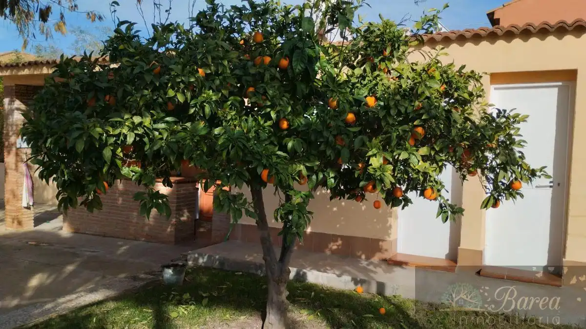 Jardín de Casa o chalet en venta en Lucena con Aire acondicionado y Piscina