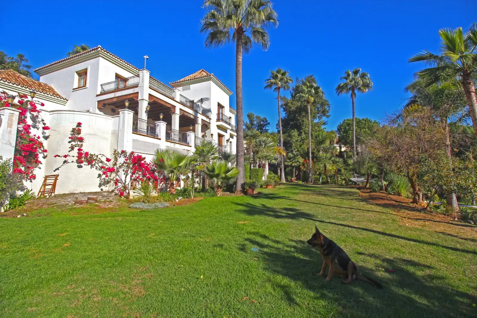 Casa amb terrassa en venda a El Paraíso, imagen 23