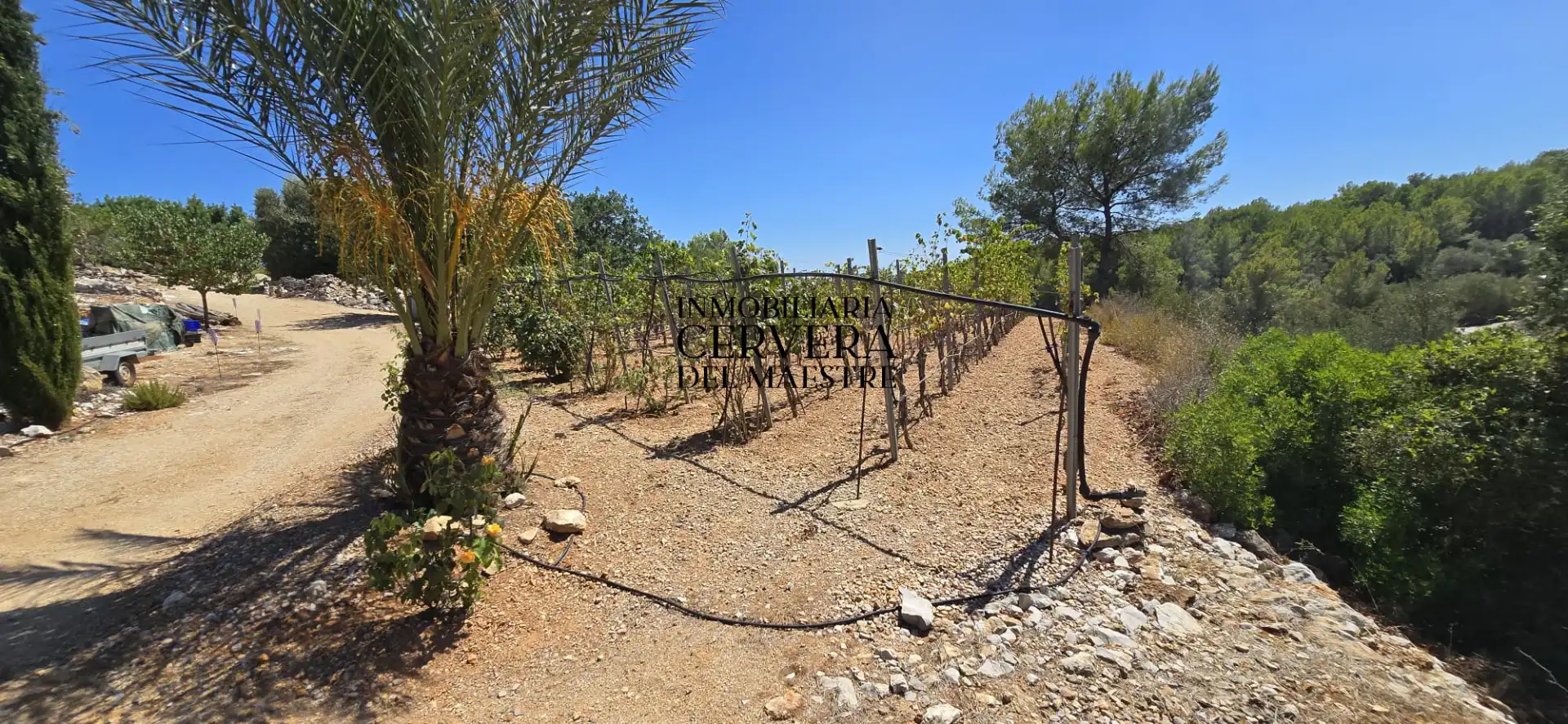Rural land for sale in Vía Po Polígono 17 60, imagen 23