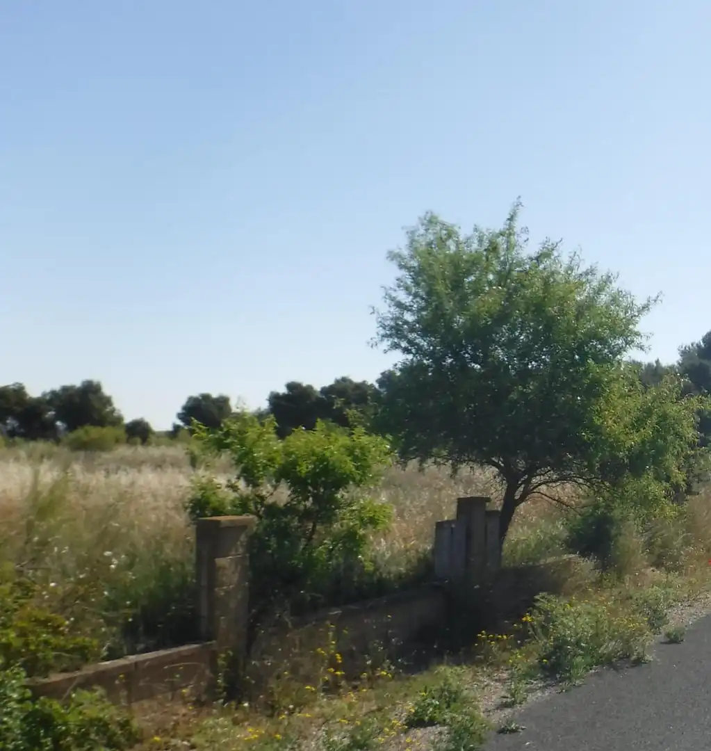 Rural land for sale in PLUTO, imagen 2