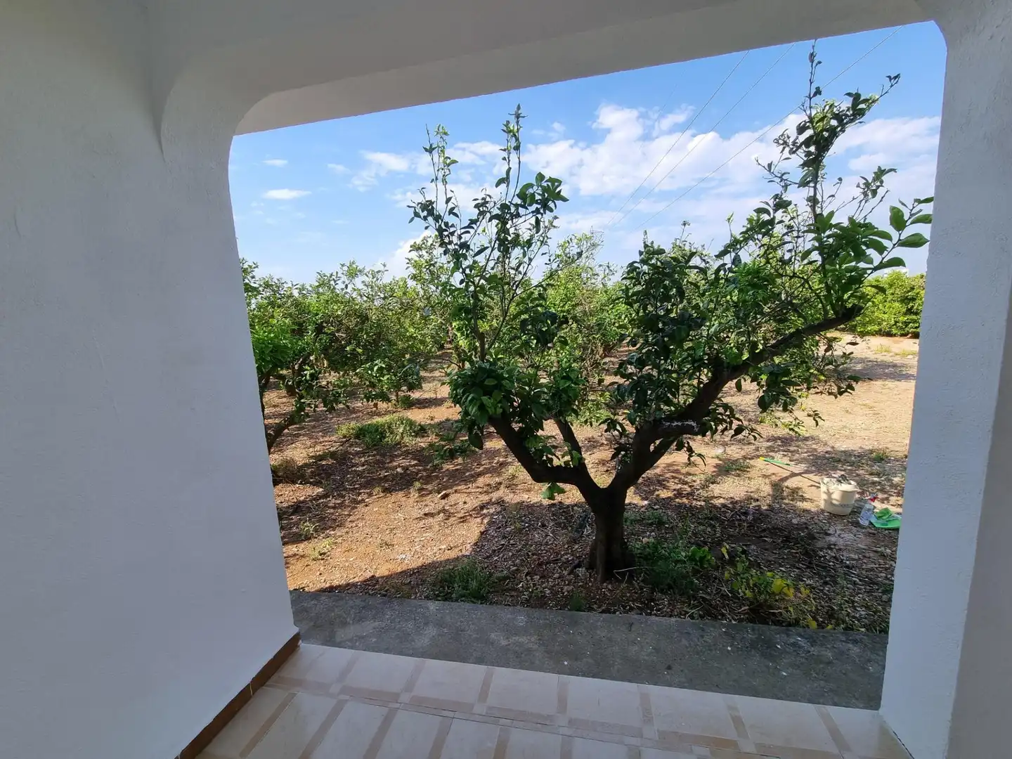 Finca rústica en venta en Vinaròs con Piscina y Amueblado