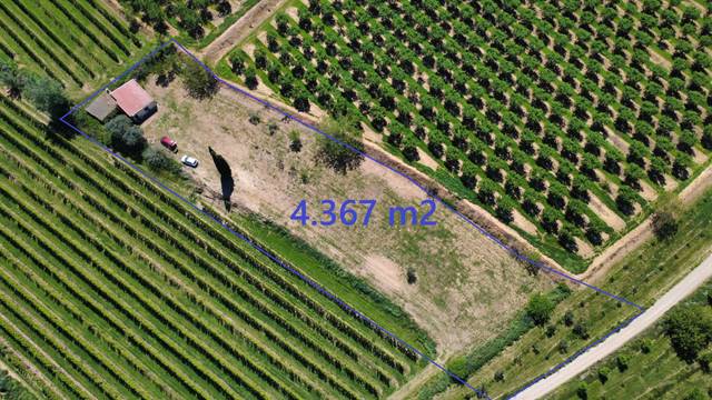 Terreno en Venta en Castelldans